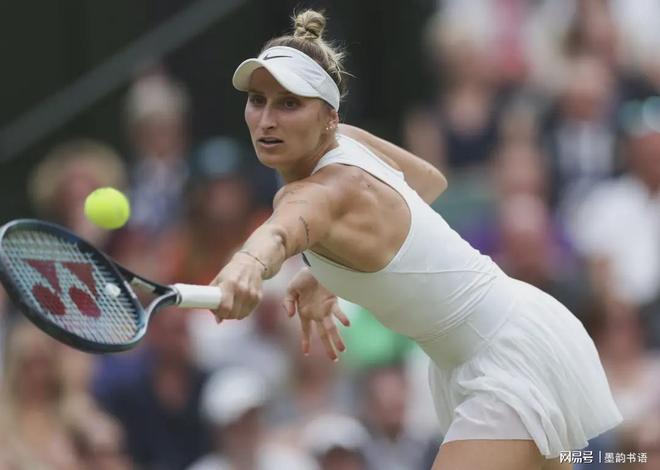 在转会费上 在转会费上