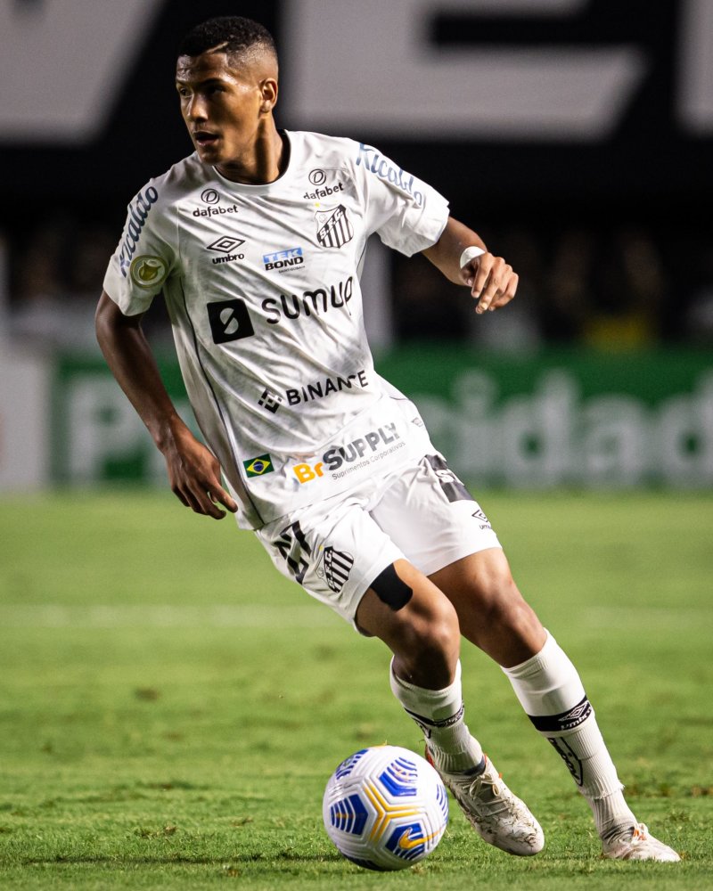 本文将深入 本文将深入