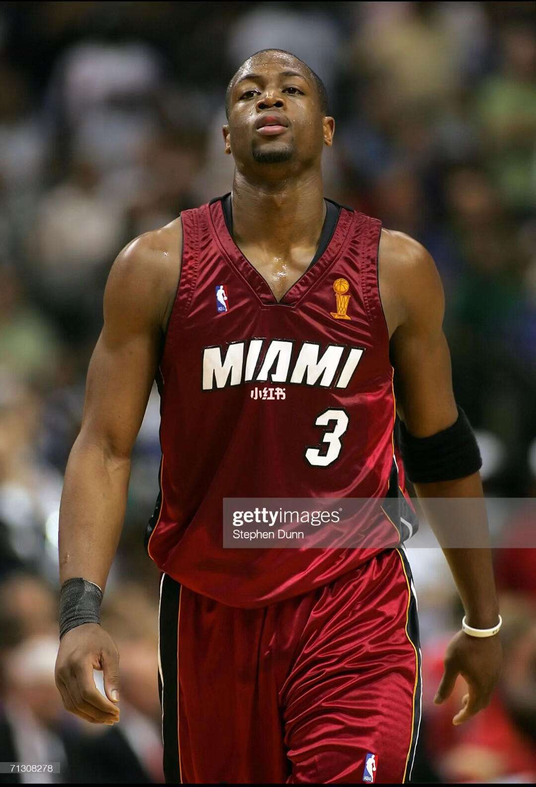 这是从散户 这是从散户