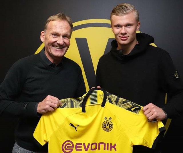 趋势研判 趋势研判